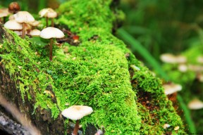 九游sports-国足防守体系优化研究，国足后防线怎么样