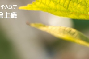 JIU YOU GAME-控球球队是否在上半场主动降速确保体能储备，控球率高就会赢吗