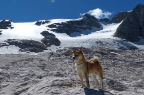 -体育科技创业大赛鼓励大学生自主创新，体育产业创新创业大赛作品