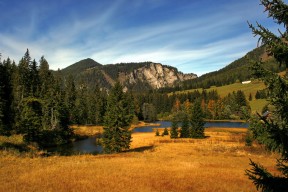 九游（jiuyou.com）游戏-国足选帅工作推进中新帅可能来自本土教练团队，国足新帅下周到位