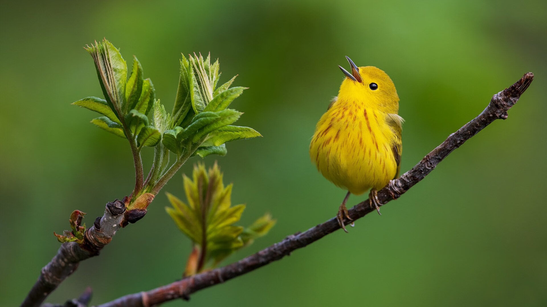 中小学生体育游戏设计对心理韧性的影响研究,中小学生体育游戏的精髓