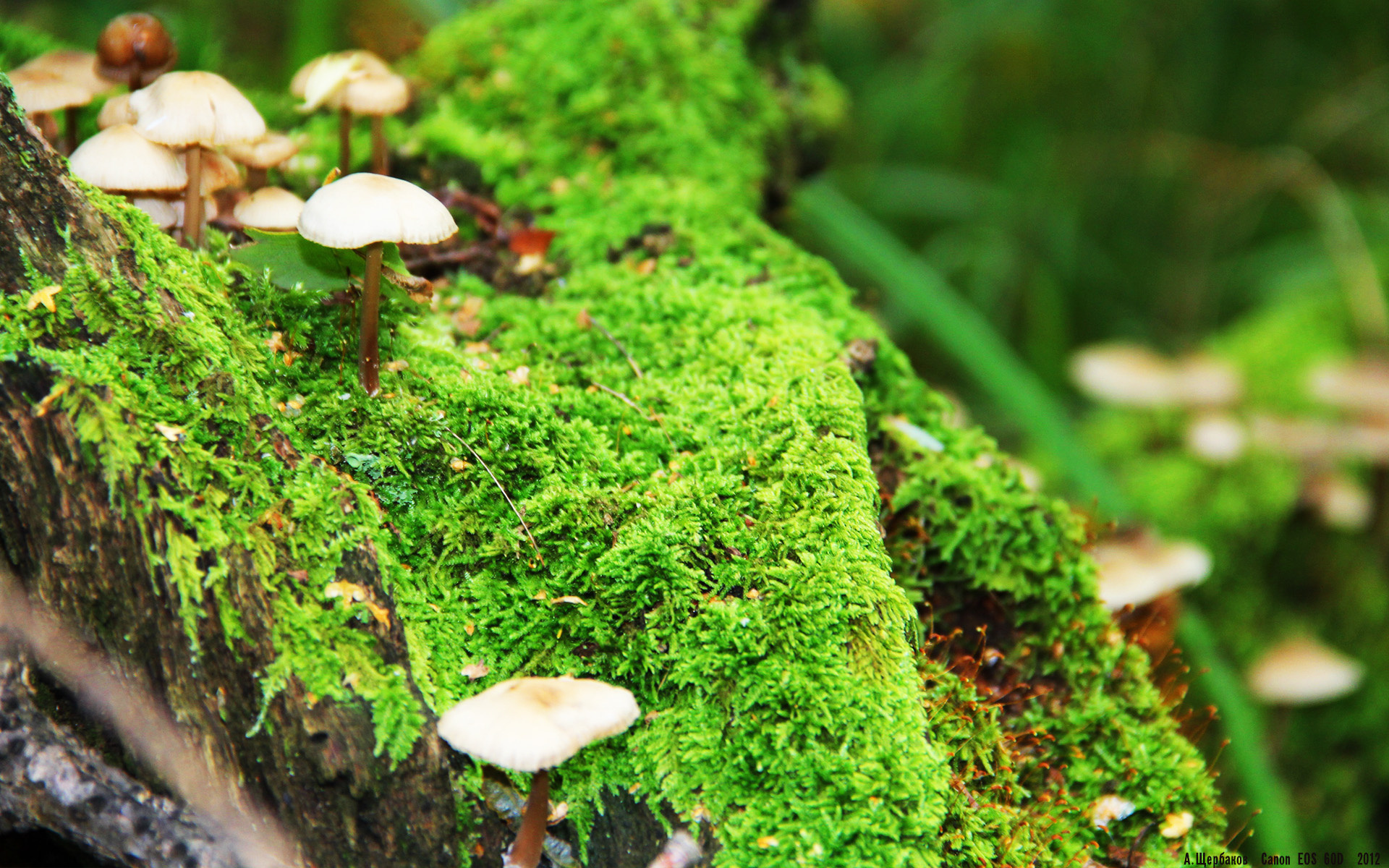 国足防守体系优化研究,国足后防线怎么样