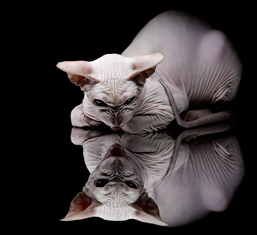 西甲球队基于比赛热度趋势分析优化后场控球时机,西甲 球队