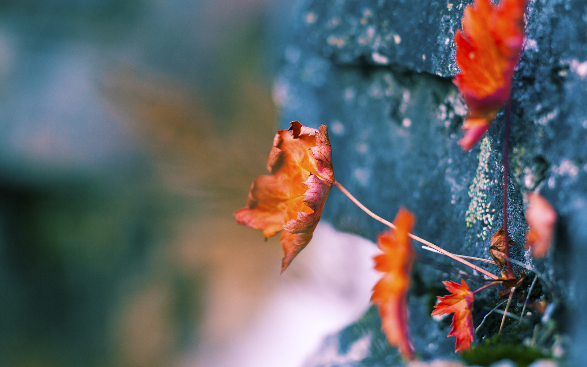 “2025世界运动会:高新体育中心武术赛场气氛紧张,选手拼劲力”