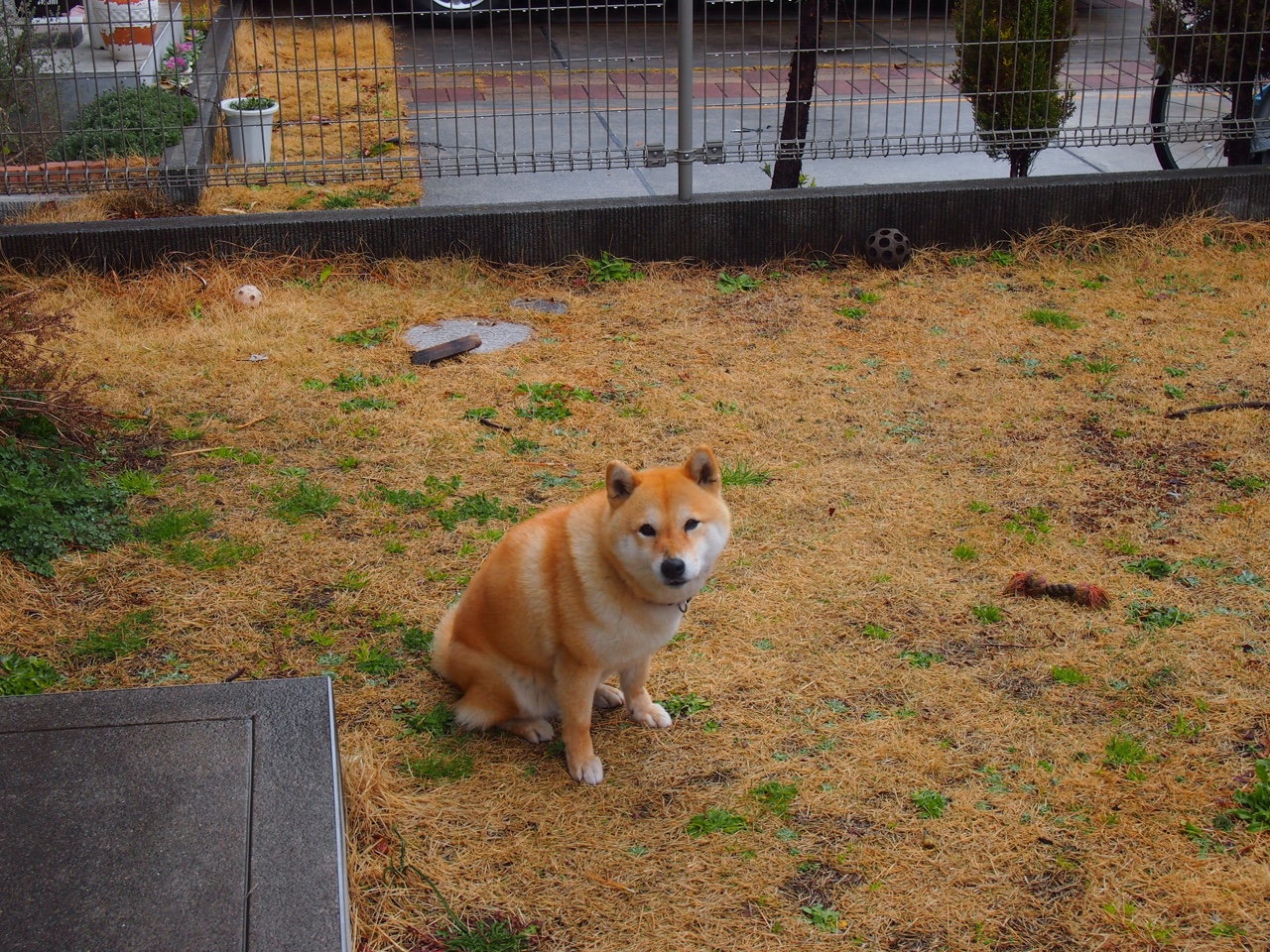 “垒球决战激烈进行!新都赛场悬念迭起”