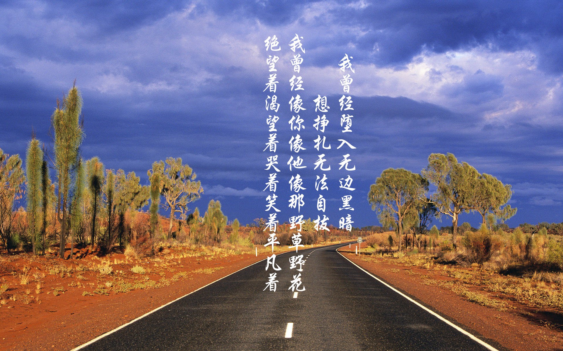 体育新闻中心支持基层体育数字传播能力建设,体育传播活动中新媒体使用情况调查报告