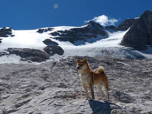 体育科技创业大赛鼓励大学生自主创新,体育产业创新创业大赛作品