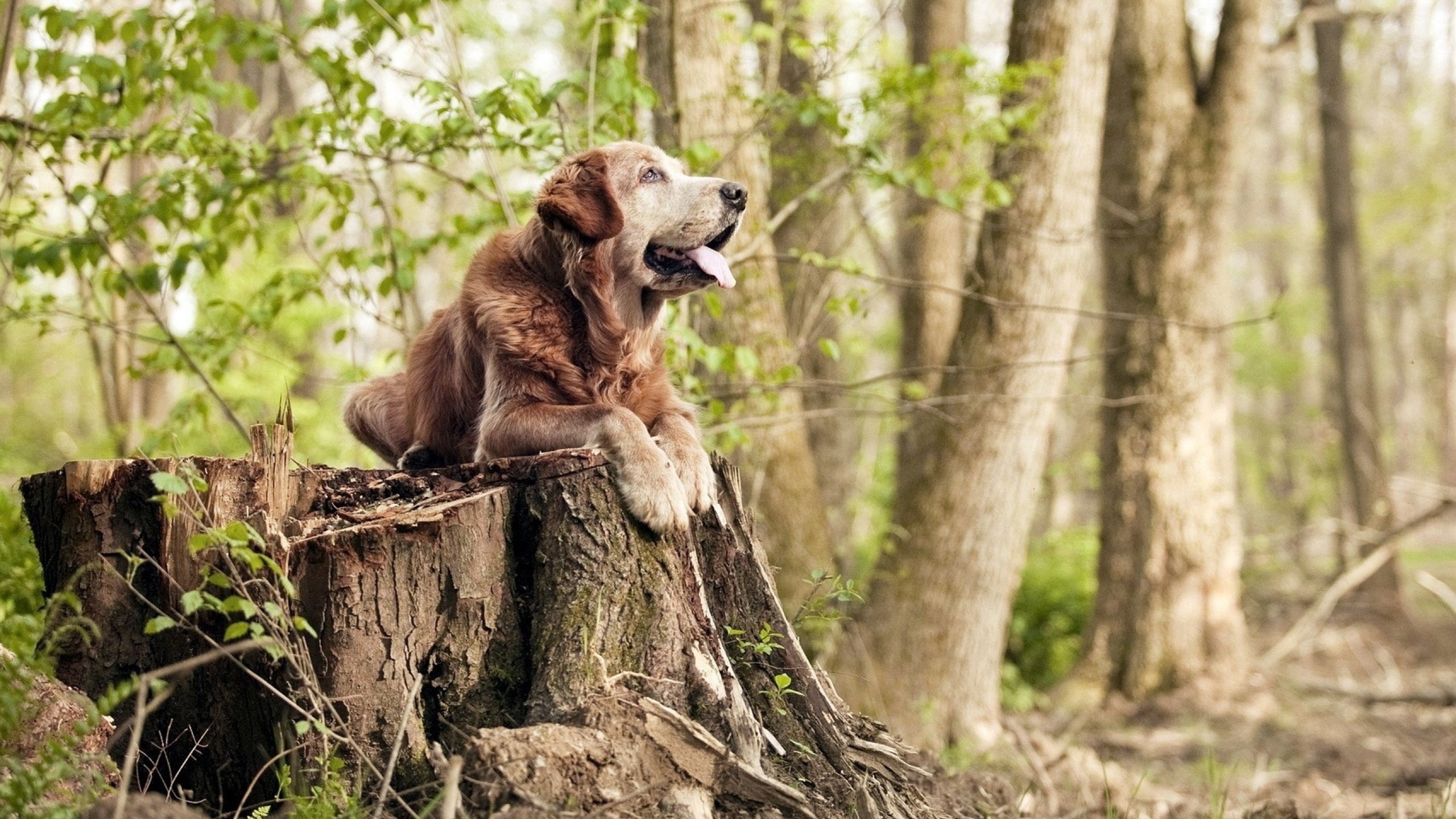 体育科技创业大赛鼓励大学生自主创新,体育产业创新创业大赛作品
