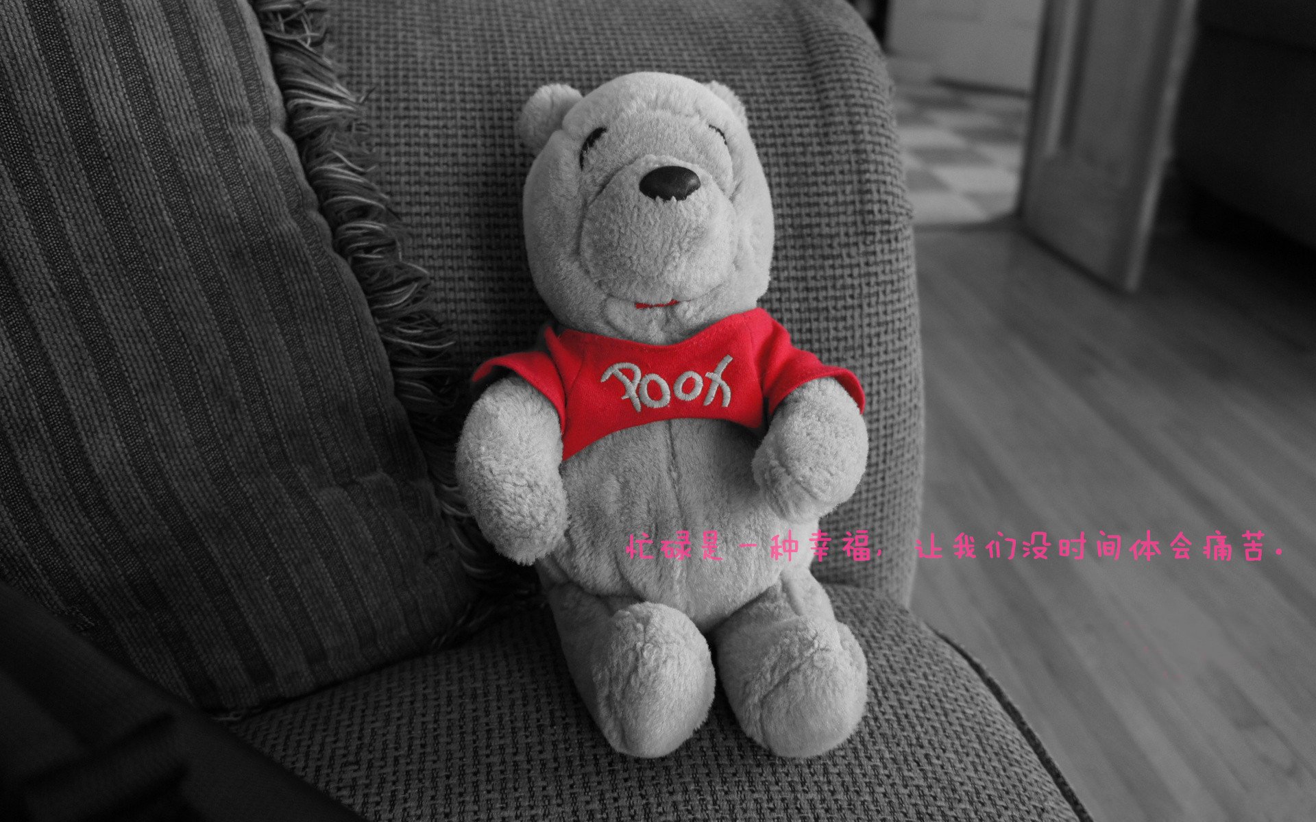 张镇麟赛后采访表达夺冠决心展现大将之风,张镇麟视频集锦