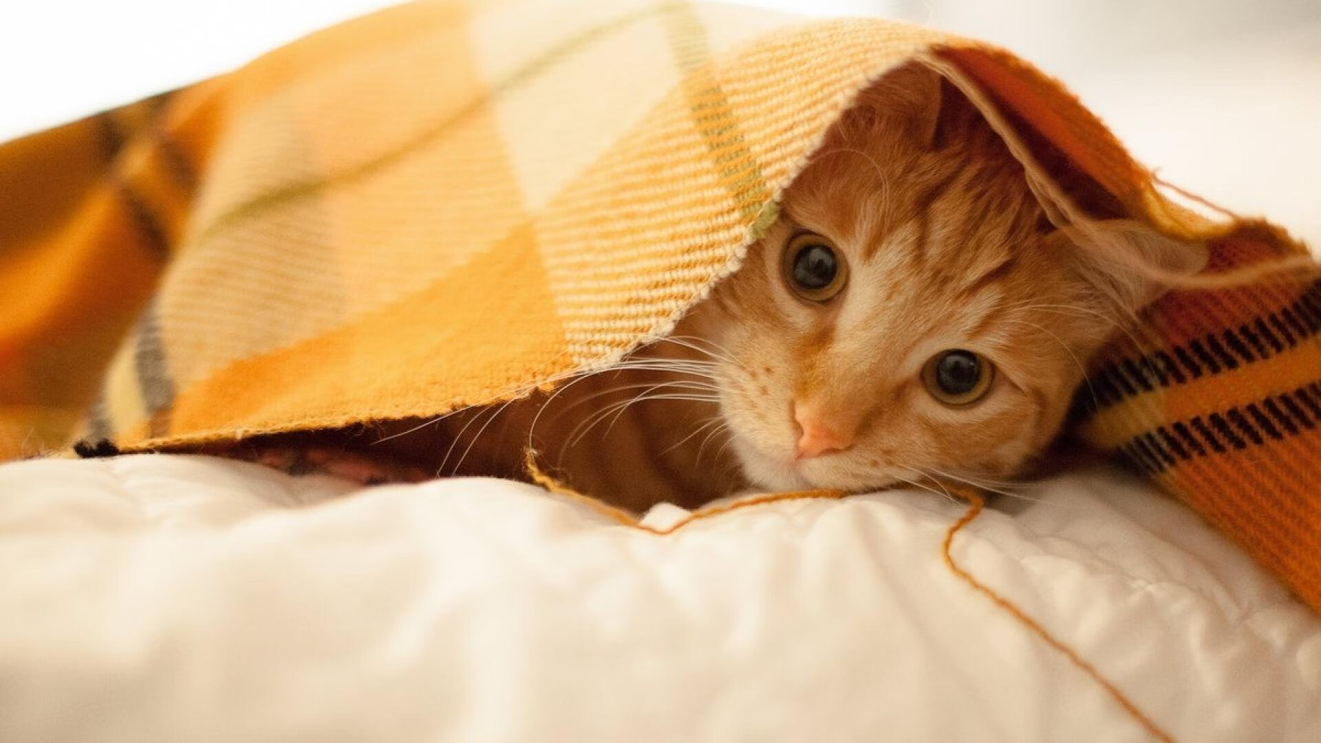 拜仁二线进攻层次丰富,后插积极,拜仁二队能对上一队吗