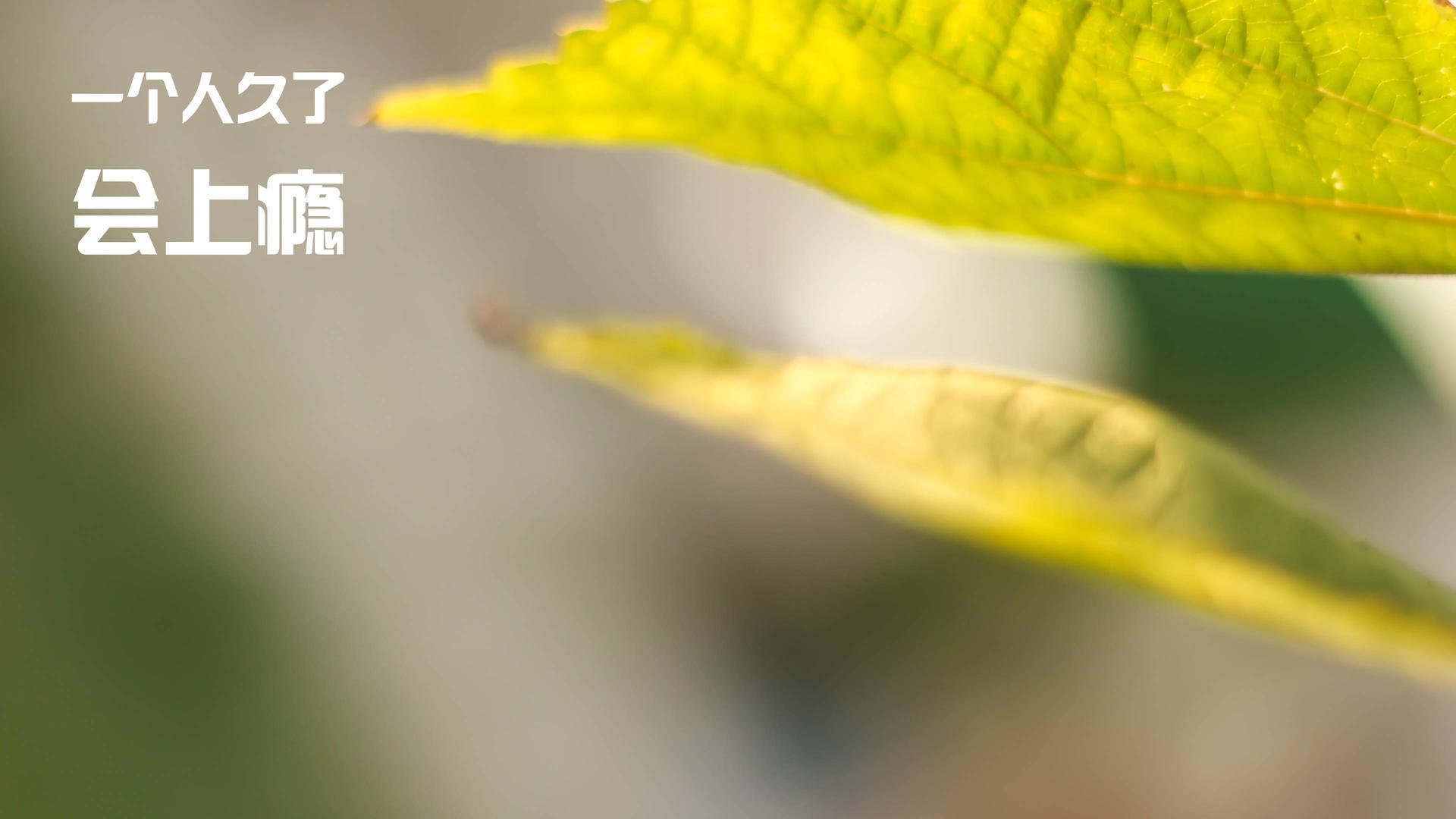 控球球队是否在上半场主动降速确保体能储备,控球率高就会赢吗