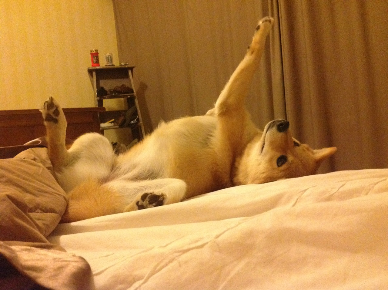 球队是否根据战术回合数配置换人节点，足球战术换人