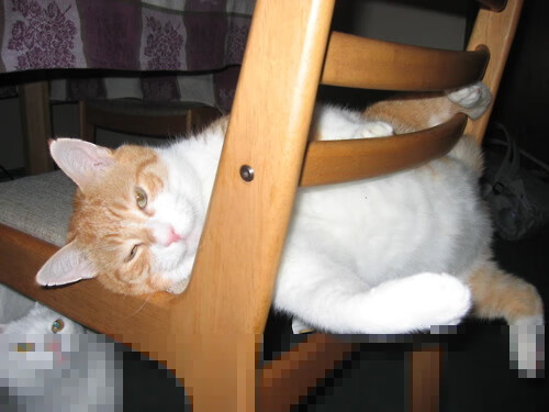 赫罗纳紧密配合拉扯防线完成突破,赫罗纳队徽