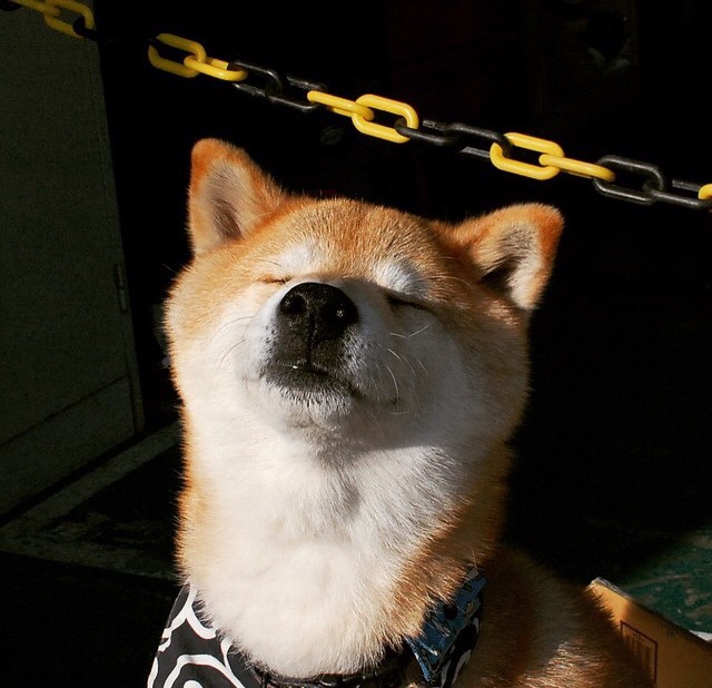 中国足球国家队阵容调整科学合理,中国足球国家队阵容名单