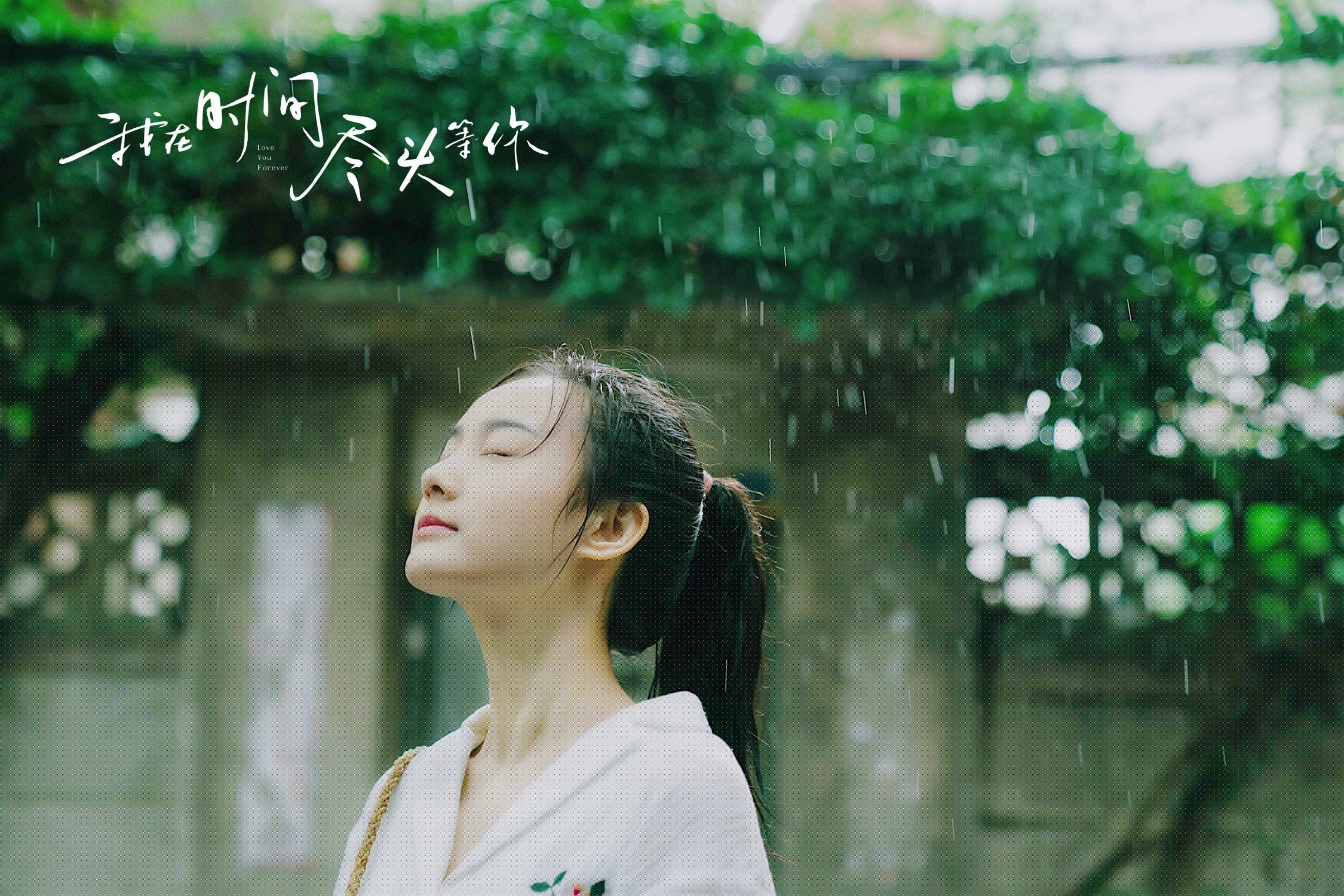 中意选手蝶泳赛场展开角逐,蝶泳国际比赛视频