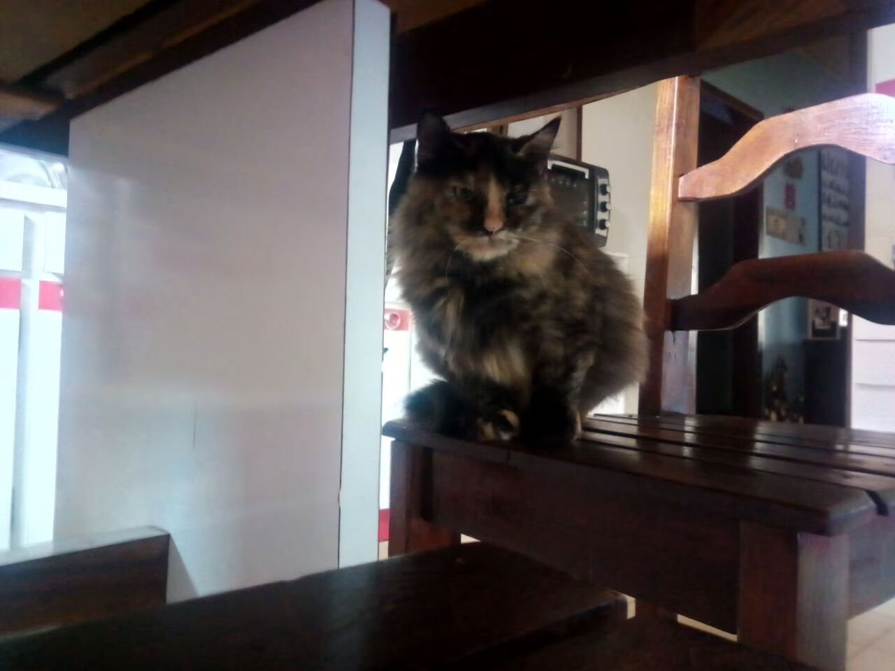 城市联赛总决赛落幕冠军队实现三连冠展现稳定团队实力,城市联赛王者