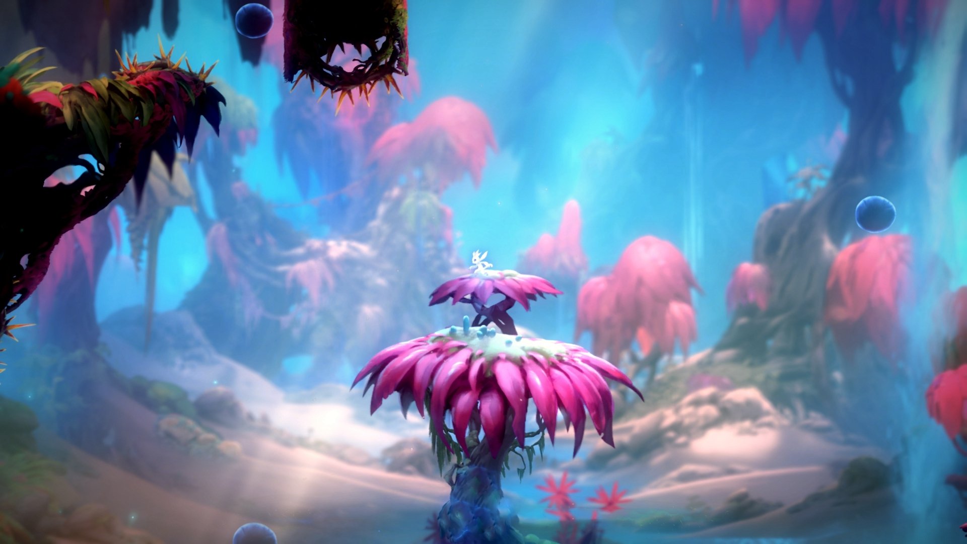 极限运动挑战精神探讨，极限运动挑战失败视频